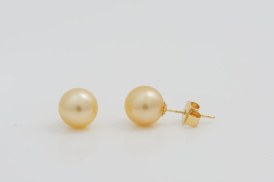South Sea Champagne Pearl Earrings 8mm